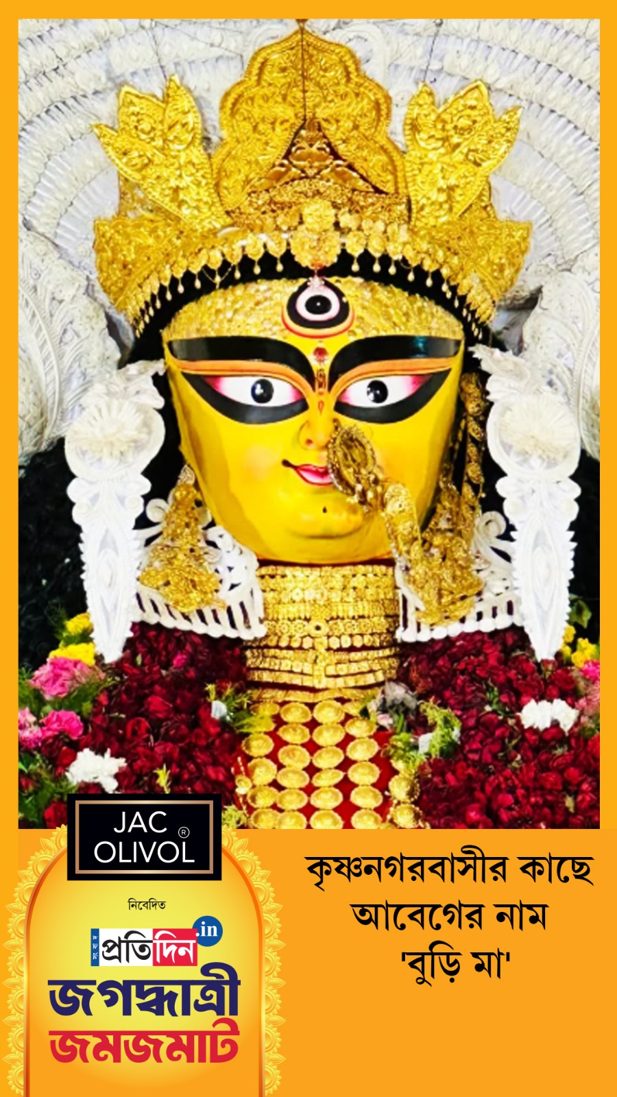 Jagaddhatri Jamjamat 2025 | কৃষ্ণনগরবাসীর কাছে আবেগের নাম 'বুড়ি মা'